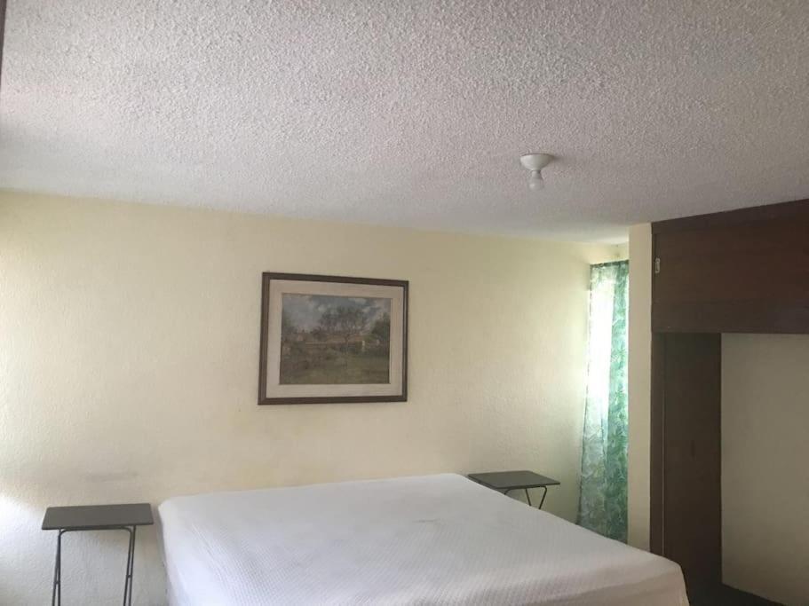 Апартаменти Casa Unam, Coyoacan, Metro Copilco 2 Recamaras C Мехіко Екстер'єр фото